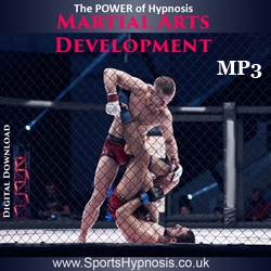 Martial Arts Development